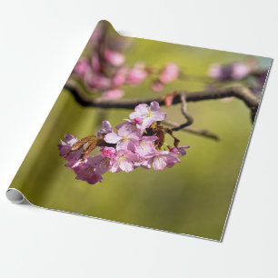 Papier Cadeau Fleurs fraîches de Sakura sur vert