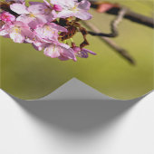 Papier Cadeau Fleurs fraîches de Sakura sur vert (Coin)