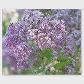 Papier Cadeau Fleurs lilas (Plat)