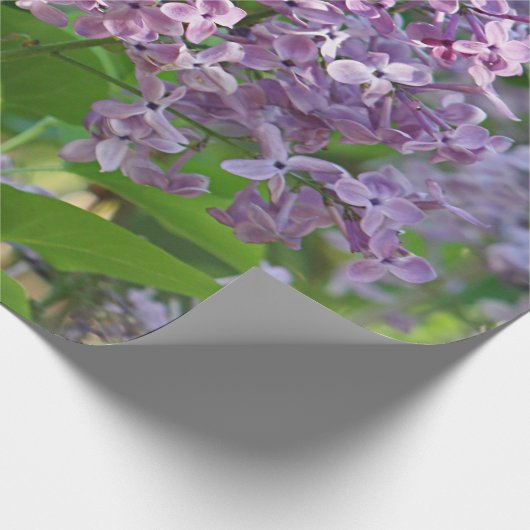 Papier Cadeau Fleurs lilas (Coin)