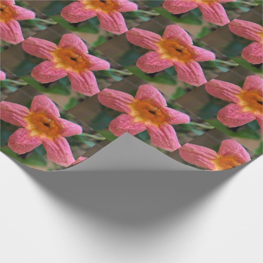 Papier Cadeau Fleurs orange (Coin)