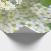 Papier Cadeau Fleurs, Plante blanc, Paysage pittoresque, (Coin)