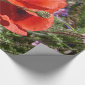 PAPIER CADEAU FLEURS POPPY (Coin)