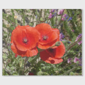 PAPIER CADEAU FLEURS POPPY (Plat)