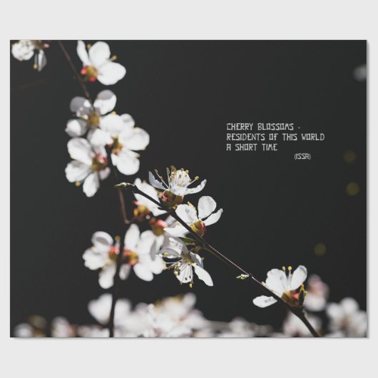 Papier Cadeau Fleurs Sakura (Plat)