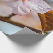 Papier Cadeau Fleurs Sakura Et Feuilles Oranges Au Printemps (Coin)