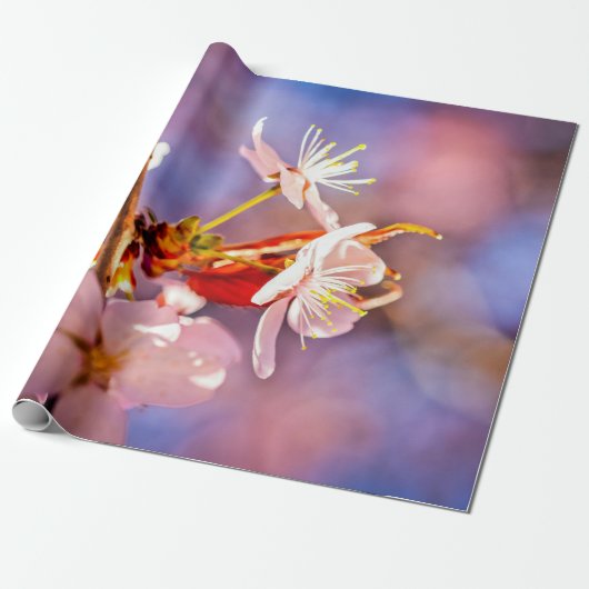 Papier Cadeau Fleurs sakura gaies (Déroulé)
