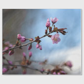 Papier Cadeau Fleurs Sakura Roses, Ciel Bleu, Nuage Blanc (Plat)