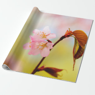 Papier Cadeau Fleurs Sakura Roses Et Feuilles Rouges