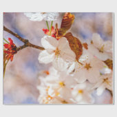 Papier Cadeau Fleurs Sakura Spectaculaires. Saison Hanami (Plat)