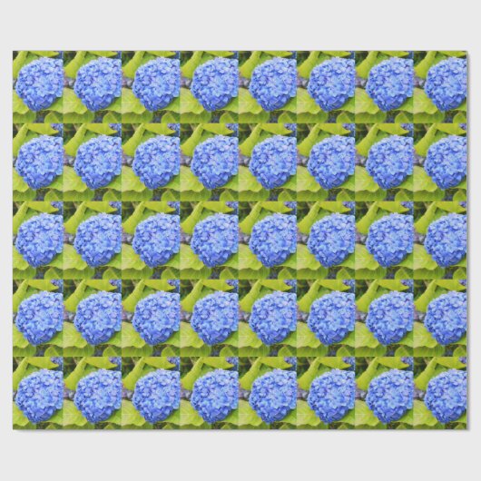 Papier Cadeau Floral d'hydrangée bleue (Plat)