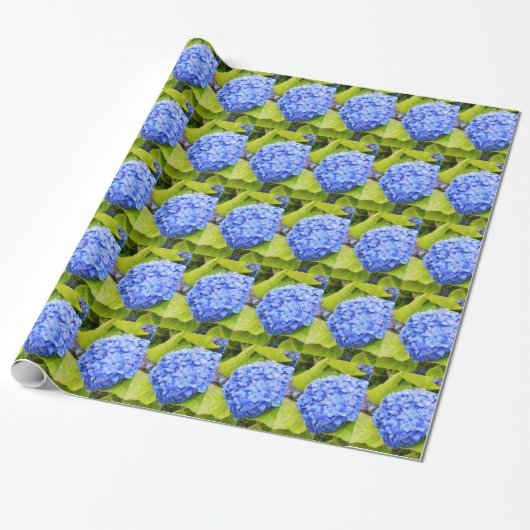 Papier Cadeau Floral d'hydrangée bleue (Déroulé)