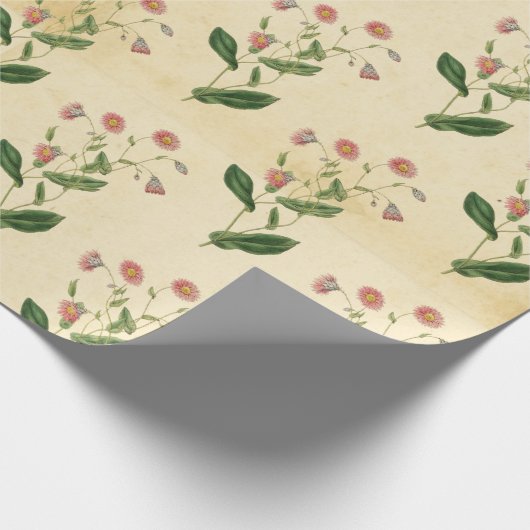 Papier Cadeau Floral vintage (Coin)