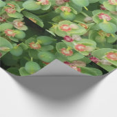 Papier Cadeau Flore verte minuscule (Coin)