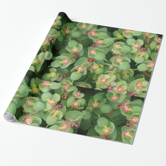 Papier Cadeau Flore verte minuscule (Déroulé)