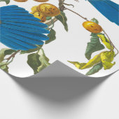 Papier Cadeau Florida Jay par John James Audubon (Coin)
