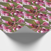 Papier Cadeau Flower Redbud avec Ladybug (Coin)