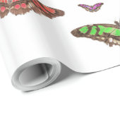 Papier Cadeau Flutterbys (Coin rond)