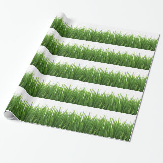 Papier Cadeau Fond d'herbe verte