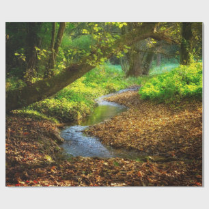 Papier Cadeau Forest Creek Belle nature Paysage Photo