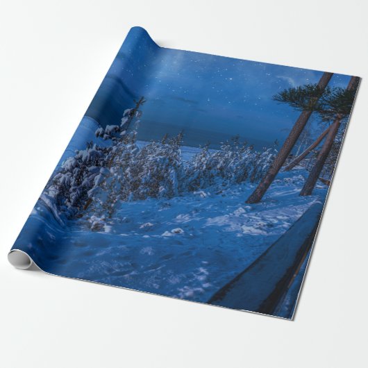 Papier Cadeau Forest path at winter night (Déroulé)