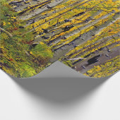 Papier Cadeau Forêt d'arbres d'Aspen à l'automne (Coin)