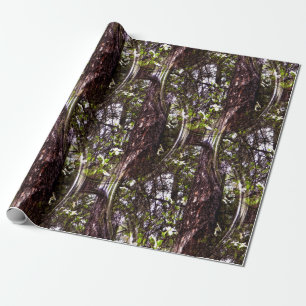 Papier Cadeau Forêt de Dogwoods....