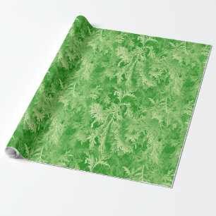 Papier Cadeau Forêt de Fir