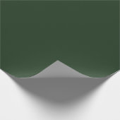 Papier Cadeau Forêt Jungle Vert Pop De Couleur (Coin)