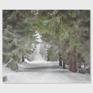 Papier Cadeau Forêt Route Pins de Neige Photo