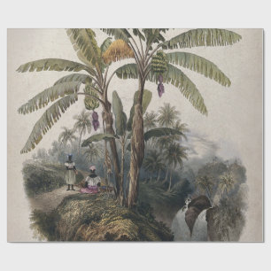 Papier Cadeau Forêt tropicale antique de bananiers   Bota vintag