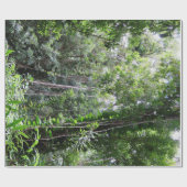 Papier Cadeau Forêt tropicale hawaïenne (Plat)