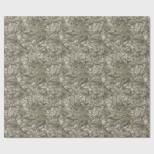 Papier Cadeau Fossile de Faux (Plat)