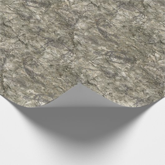 Papier Cadeau Fossile de Faux (Coin)