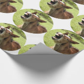 PAPIER CADEAU FOUR (Coin)