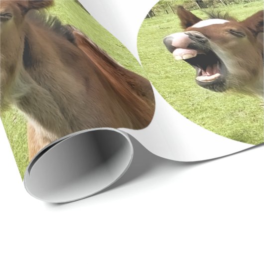 PAPIER CADEAU FOUR (Coin rond)