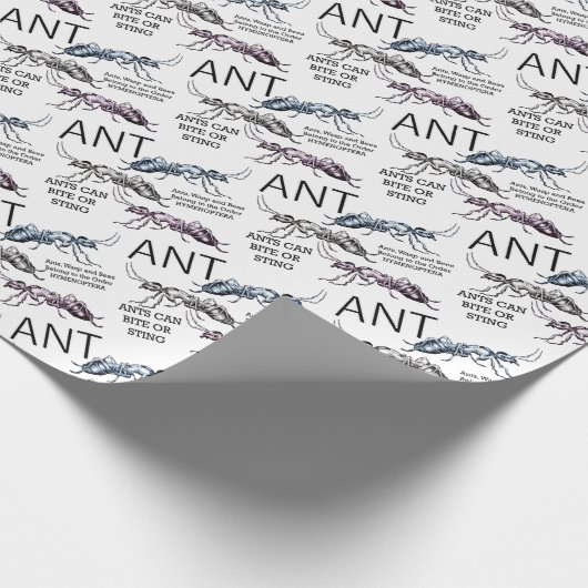 Papier Cadeau Fourmis Insectes Punaises (Coin)