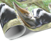 Papier Cadeau Foxcub & Badger Cute ! (Coin rond)