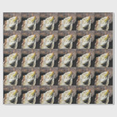 Papier Cadeau Fracguane (Plat)