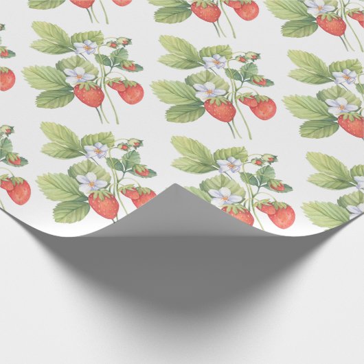 Papier Cadeau Fraises (Coin)
