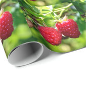 Papier Cadeau Framboise (Coin rond)