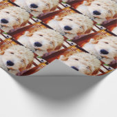 Papier Cadeau franco.jpg (Coin)