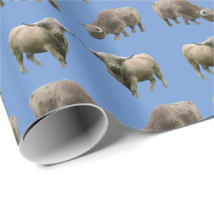 Papier cadeau frénésie de vache highland (Bleu)