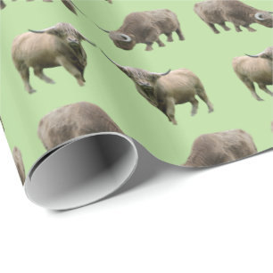 Papier cadeau frénésie de vache highland (Vert)