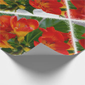 Papier Cadeau Frénésie rouge (Coin)