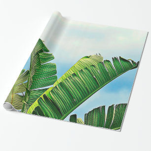 Papier Cadeau Frondes frangées de paume contre le ciel bleu