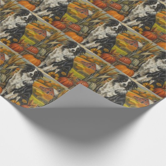 Papier Cadeau Frontière Collie Chien Moisson d'automne Thanksgiv (Coin)