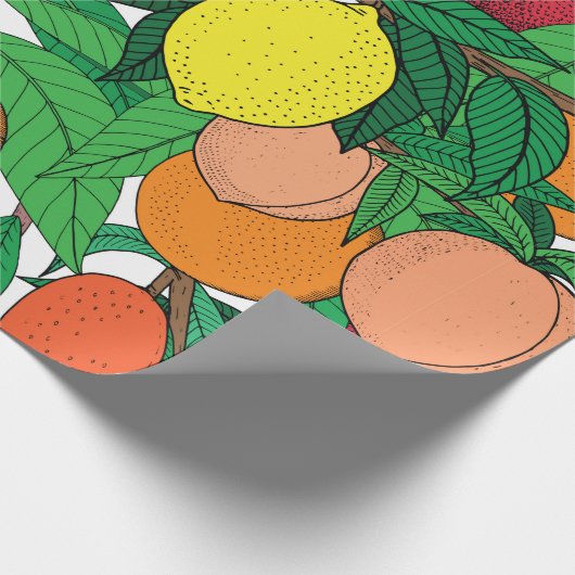 Papier Cadeau Fruit seamless pattern, hand drawn sketch, orange, (Coin)