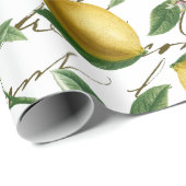 Papier Cadeau Fruit vintage de citron (Coin rond)
