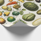 Papier Cadeau Fruits et légumes (Coin)